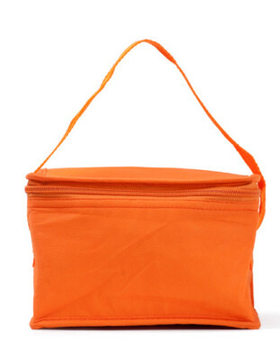 Kühltasche mini Kühlbox Kältebox Getränketasche Kühlbeutel Kühl Picknicktasche