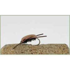 Beetles, Trout Flies, 12 Pack Brown Gum Beetle, Mixed 10/12/14, Foam Beetles