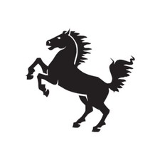 Rearing Horse - Vinyl Decal Sticker - Multiple Color Sizes - ebn703