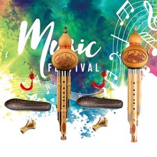Hulusi Flute Wind Instrument for Beginner Bamboo Professional Chinese Musical