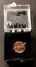 NASA Service Pin Marked “LS” Copper/Bronze! Meatball Logo! ENN
