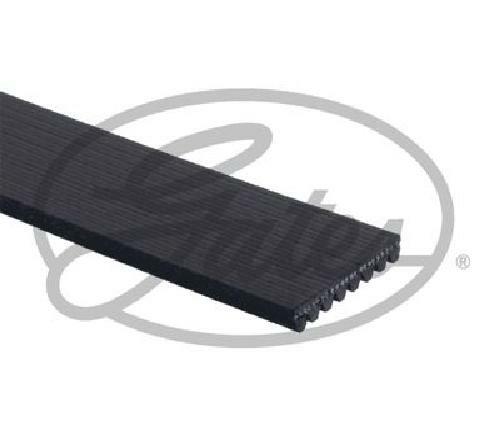 GATES MICRO-V MULTI-RIBBED BELT - 8PK1225 - Image 21