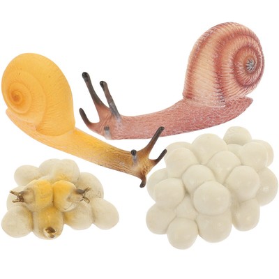  Wachstumszyklus Der Schnecke Plastikschnecken-Modellspielzeug