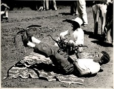 LD436 Orig Dave Carr Photo ARCHER LAYING ON BACK FIRING FOOT-BOW STUNT ARCHERY