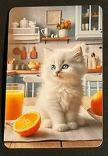 (2Z) Modern swap card of a beautiful white kitten