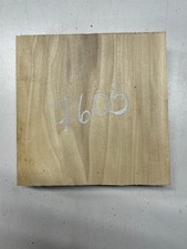 Poplar Bowl Blank 8x 8x 2 Woodturning Blank 7603