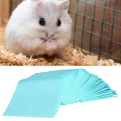  100 Pcs Pet Small Urine Pad Super Absorbent Pee Pads Random Color