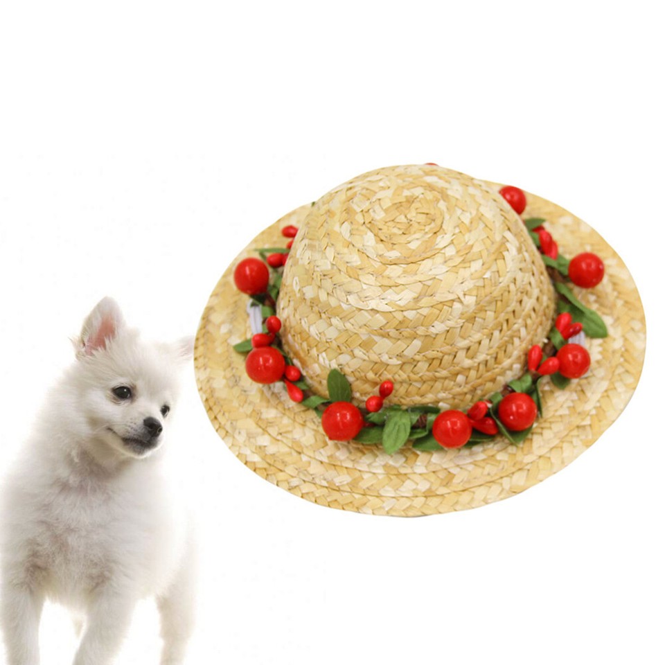 Tail Up Dog Hat Pet Hat Dog Straw Hat Pet Straw Hat Cat Sombrero Hat