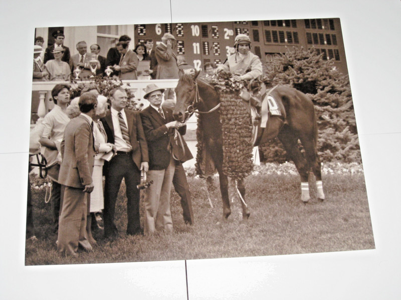 11 X 14 -- Photo of Swale in the 1984 Kentucky Derby Winner Circle