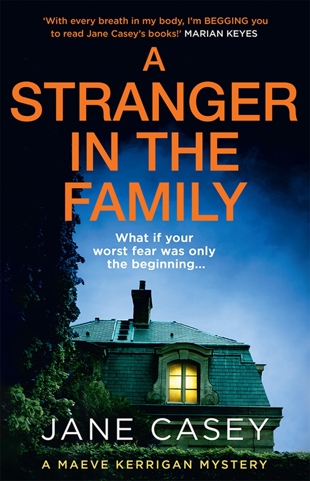 A Stranger in the Family: The new detective crime thriller that will have yo...