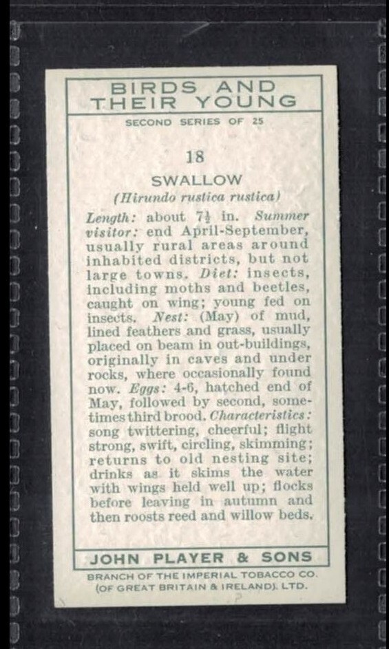 nelson tobacco Nelson navy cut cigarette packet in Antique Tobacciana