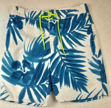 American Eagle Outfitters Swim Shorts Men's Medium Blue/White Print Beach/Board