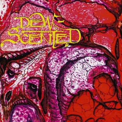 DEW-SCENTED - Immortelle (CD)