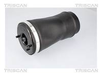 Triscan Luftfeder, Fahrwerk Hinterachse, Rechts FüR Bmw