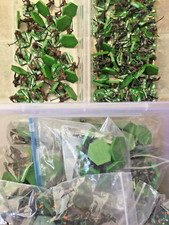 Combat Hex Orcs & Goblins Single Miniature Base Set BS Sabertooth Tolkien LOTR