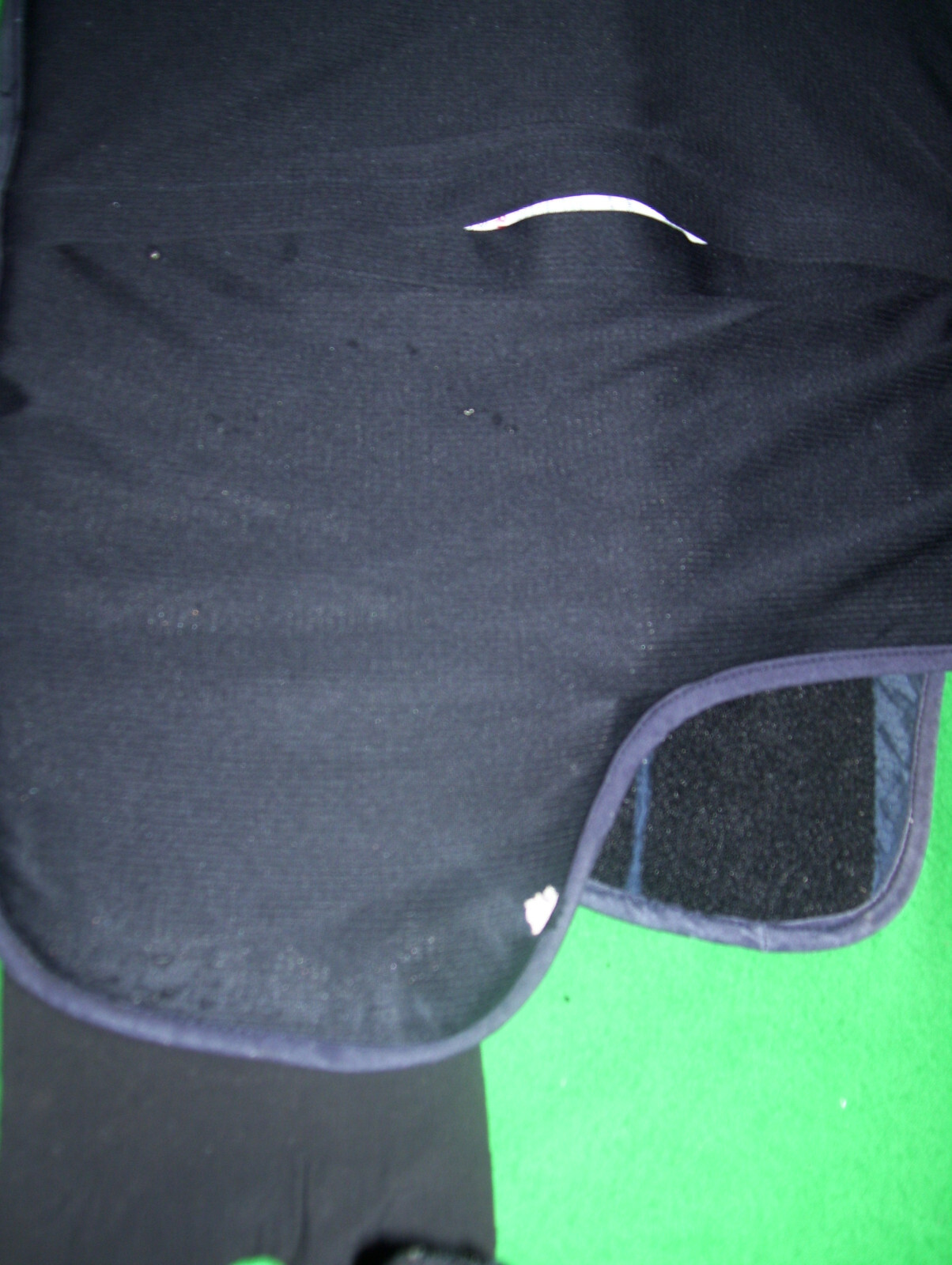 Picture 10 of 14