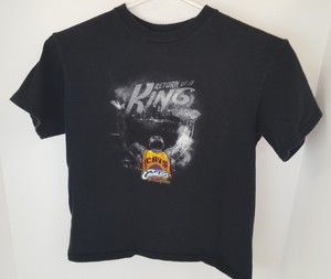 return of the king lebron james