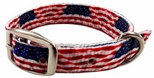 Showman Couture American Flag Designed Nylon Dog Collar FREE SHIPPING 