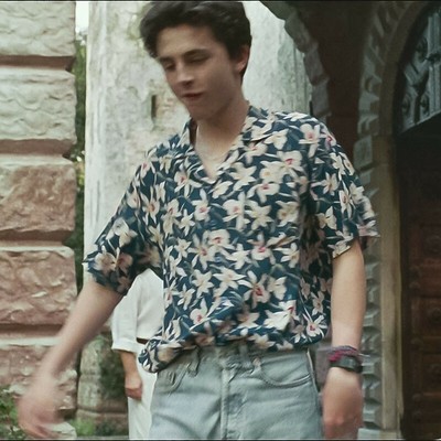 timothee chalamet blouse