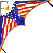 Kites for Kids Ages 4-8  8-12  Large Delta Kites for Adults, Boys and Girls Beac