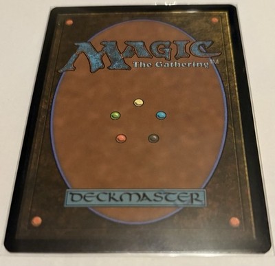 Plains 0888 FOIL Secret Lair Bonus Card  | eBay