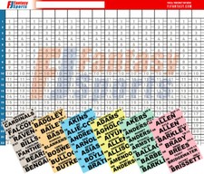 2025 Fantasy Football Draft Board - 500 Labels - Auction  IDP Options
