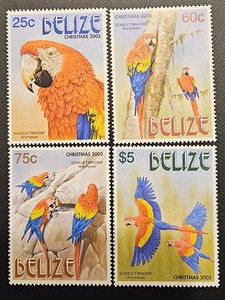 BELIZE 2003 Scarlet Macaw (Scott 1169-1172; SG 1304-1307) MNH