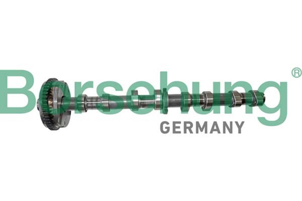 Borsehung Nockenwelle B12413 FüR VW Passat B7 362 B6 Variant 3C5 365 3C2 CC 357-image