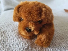 Animal Fair 1999 Bean Bag Plush Dog Duke Bush's Best Baked Beans 