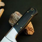 8.9" D2 Steel Hunting Knife Full Tang Micarta Handle Fixed Blade + Sheath — photo 3
