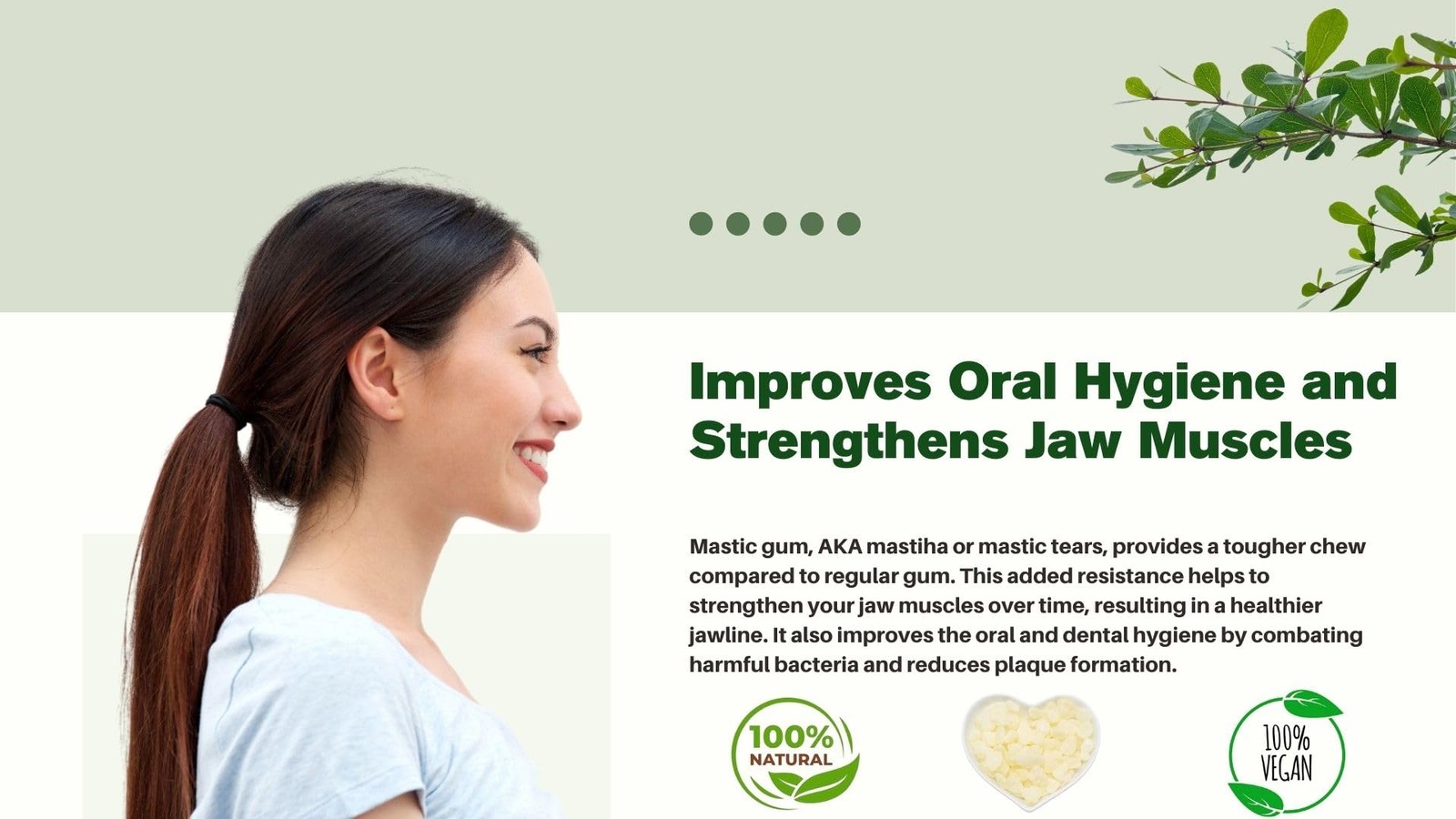 Chios Mastiha Tears Gum Greek 100% Natural Mastic Packs From Mastic Growers F...