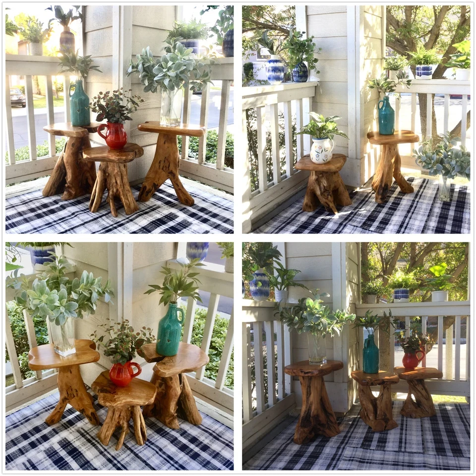 Natural Irregular Shape Tree Stump End Table Plant Stand, 14"x13"x18"H - Image 4 of 4