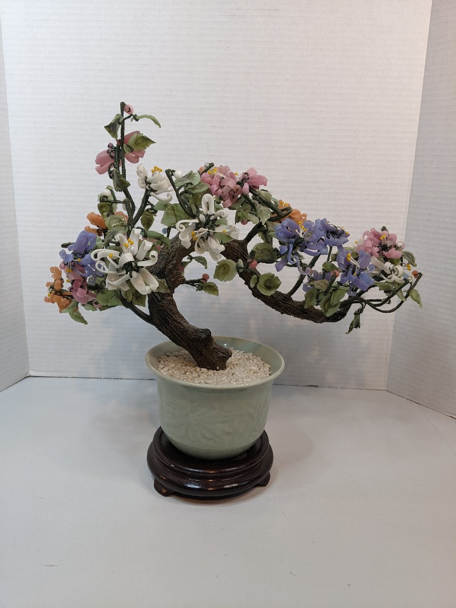 podere le ripi bonsai BUY] 2017 | Podere le Ripi main image 1