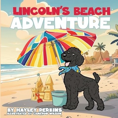 Lincoln's Beach Adventure -  NEW Hayley Perkins 2025-07-20