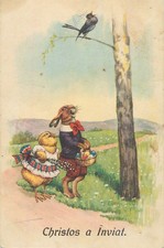 B583 Romanian Easter greeting postcard humanized rabbit and chicken fantasy 1928