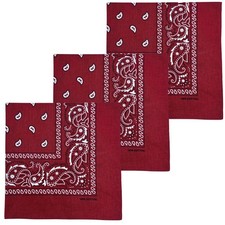 3 PCS 100 Cotton Bandana for Men Women 22 x 22 Paisely Pattern Handkerchief ...