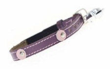 Moet Purple Cat Collar