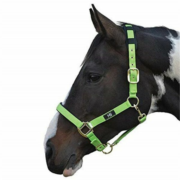 HY Equestrian Deluxe Soft Padded Horse Head Collar Pony Bright Green
