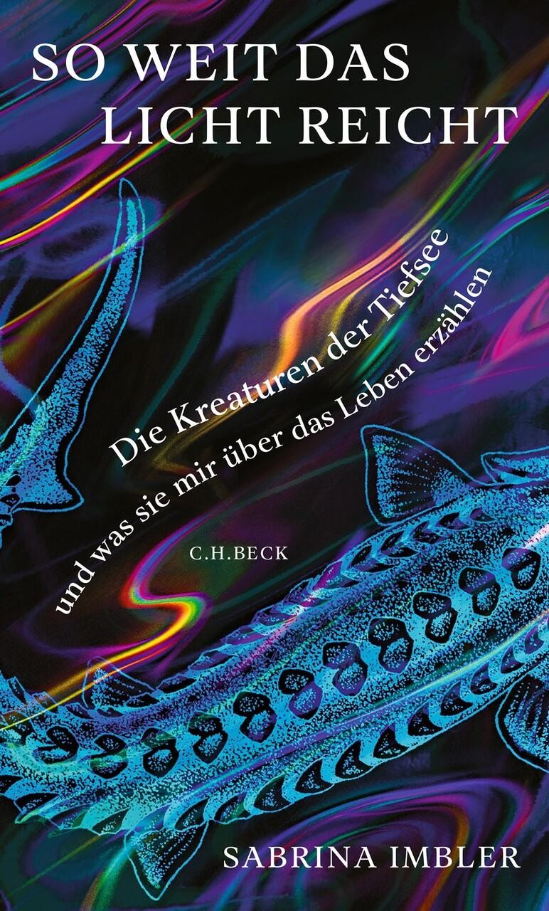 C.h. Beck Licht So Weit Das Reicht - Bild 2