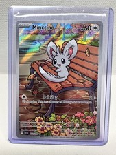 Minccino 152/086 Sv: Black Bolt Holo on eBay