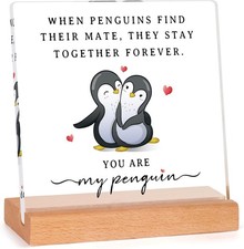 SteadStyle Gifts for Her or Him - Wedding Anniversary You Are My Penguin 
