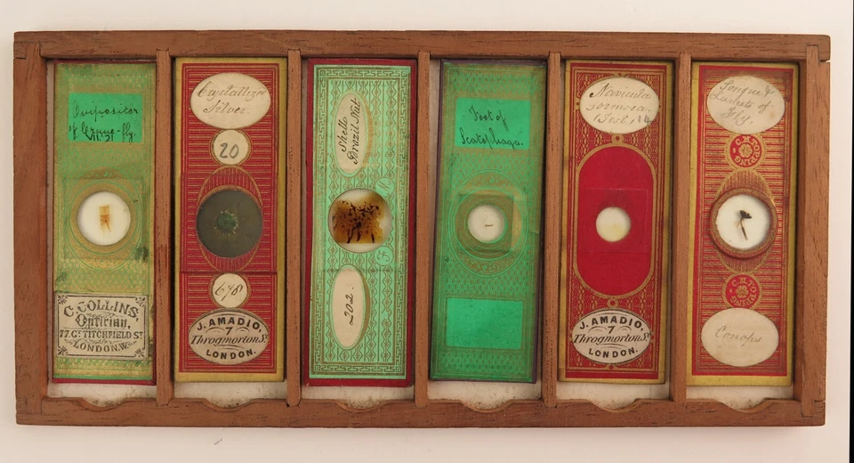 Victorian Microscope slide collection (72) including Dancer Microphotographs - Image 3 of 4