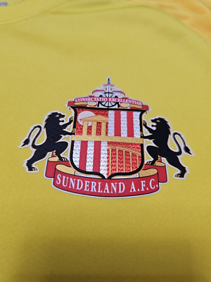 SUNDERLAND 2021 2022 AWAY FOOTBALL SHIRT SOCCER JERSEY L NIKE | eBay