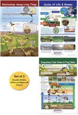 3 PCS Ecology Bulletin Board Charts Laminated DoubleSided 12x18 Inch 947007