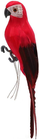 Bild 11 von 11