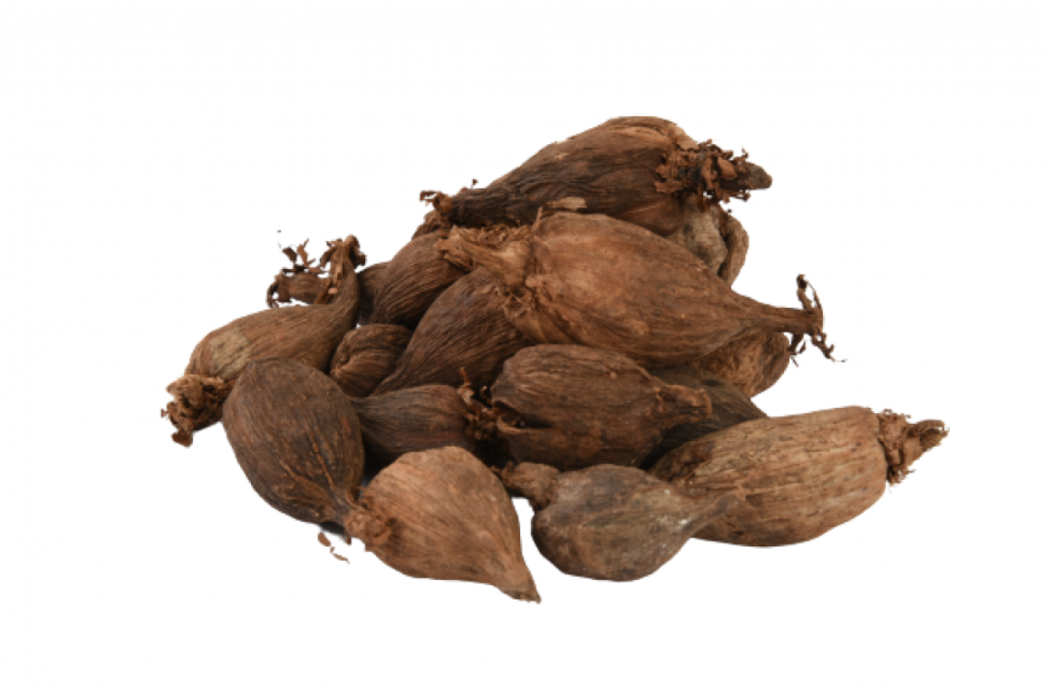 هيل حبشي - Habashi Cardamom (or Ethiopian Cardamom)