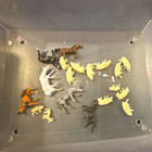 OO Gauge 176 Painted Animal Figures Set Plastic Multicolour for Dioramas