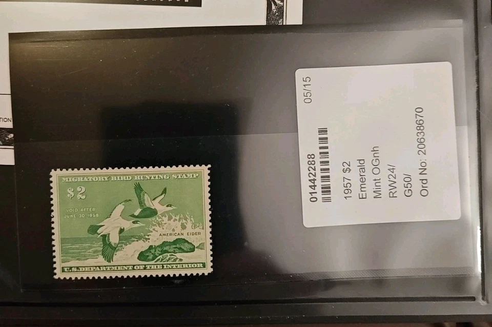 Certified By PSE-#RW24 1957 - US Federal Duck Stamp - Very Fine/Extremely Fine - Image 3 of 4