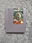 The Immortal (Nintendo Entertainment System NES, 1990) Tested!