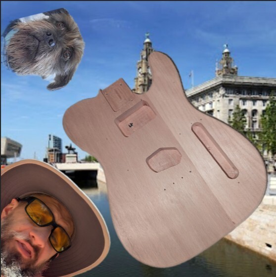 Bild 1 von 17
